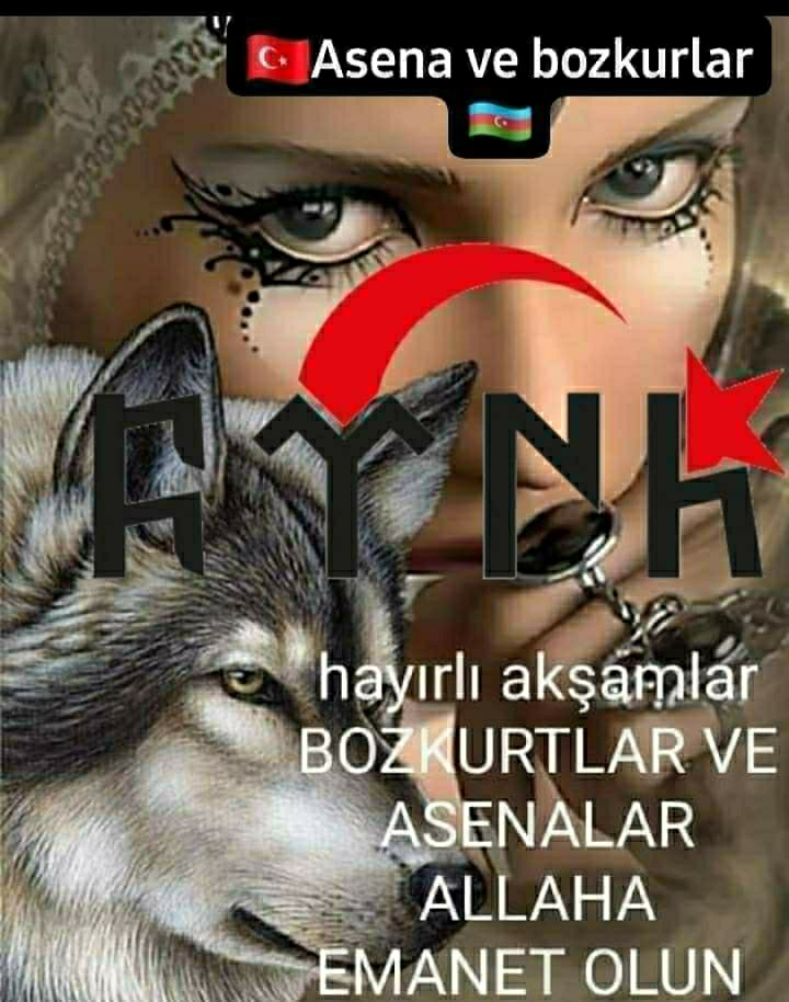 Aysun