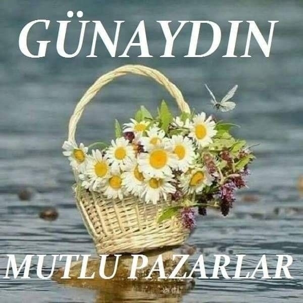 Yavuz