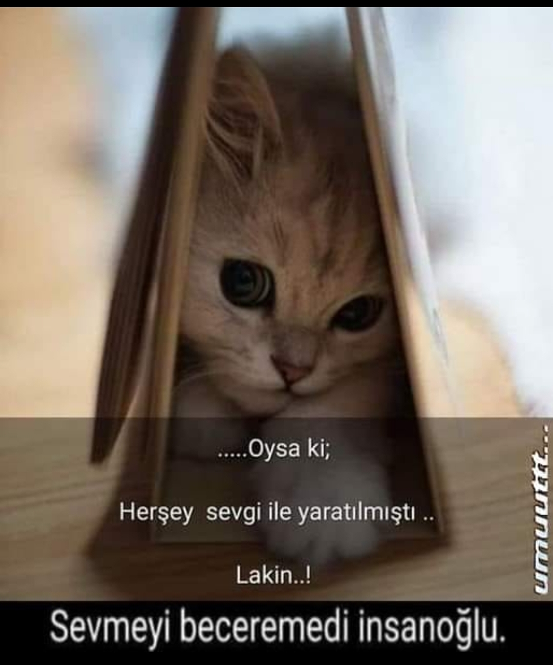 Ceyhun