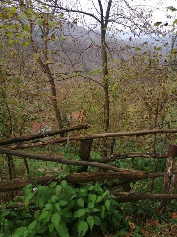 Güler