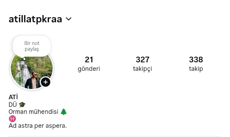 atilla