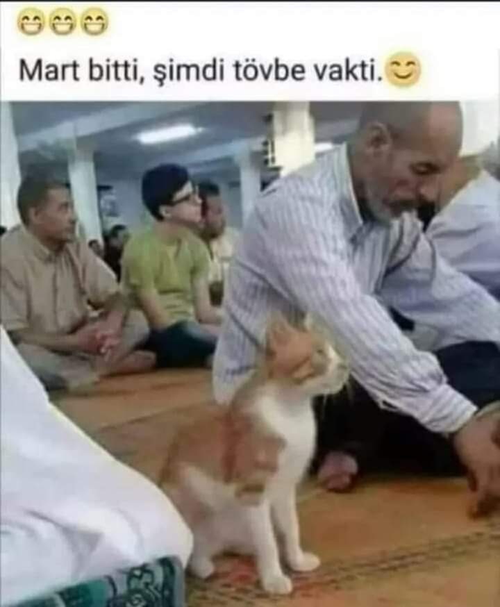 Fikret