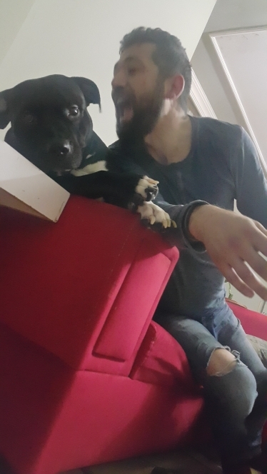 Wolkan