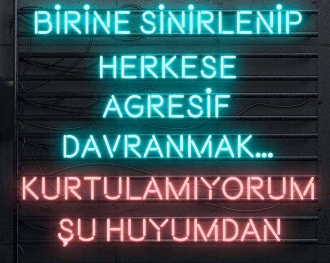Sonnur