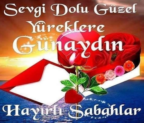 Özer