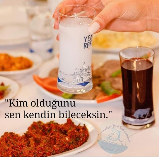 Ulvi