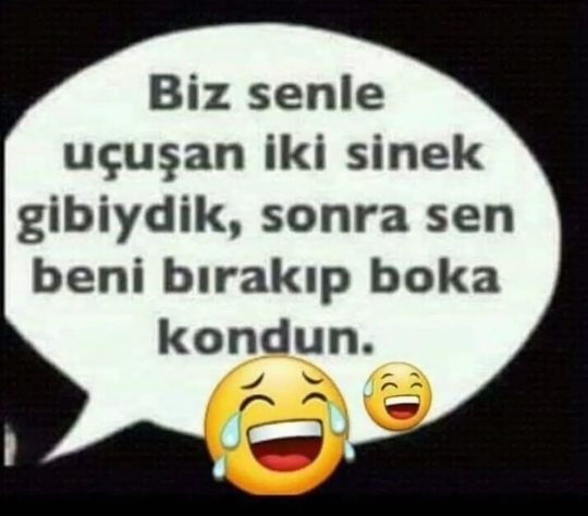 Şahin