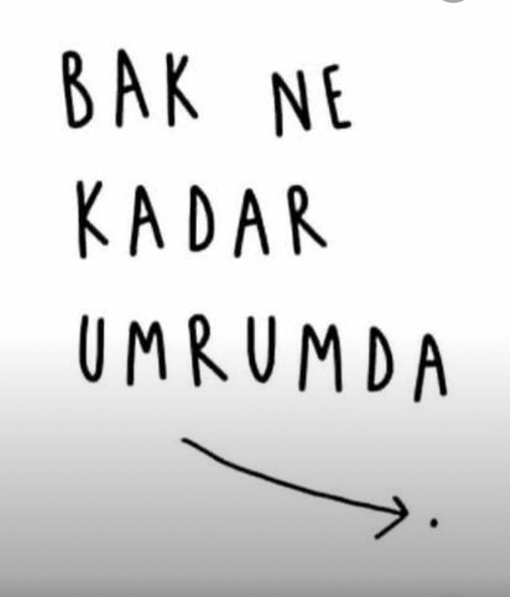 Yavuz