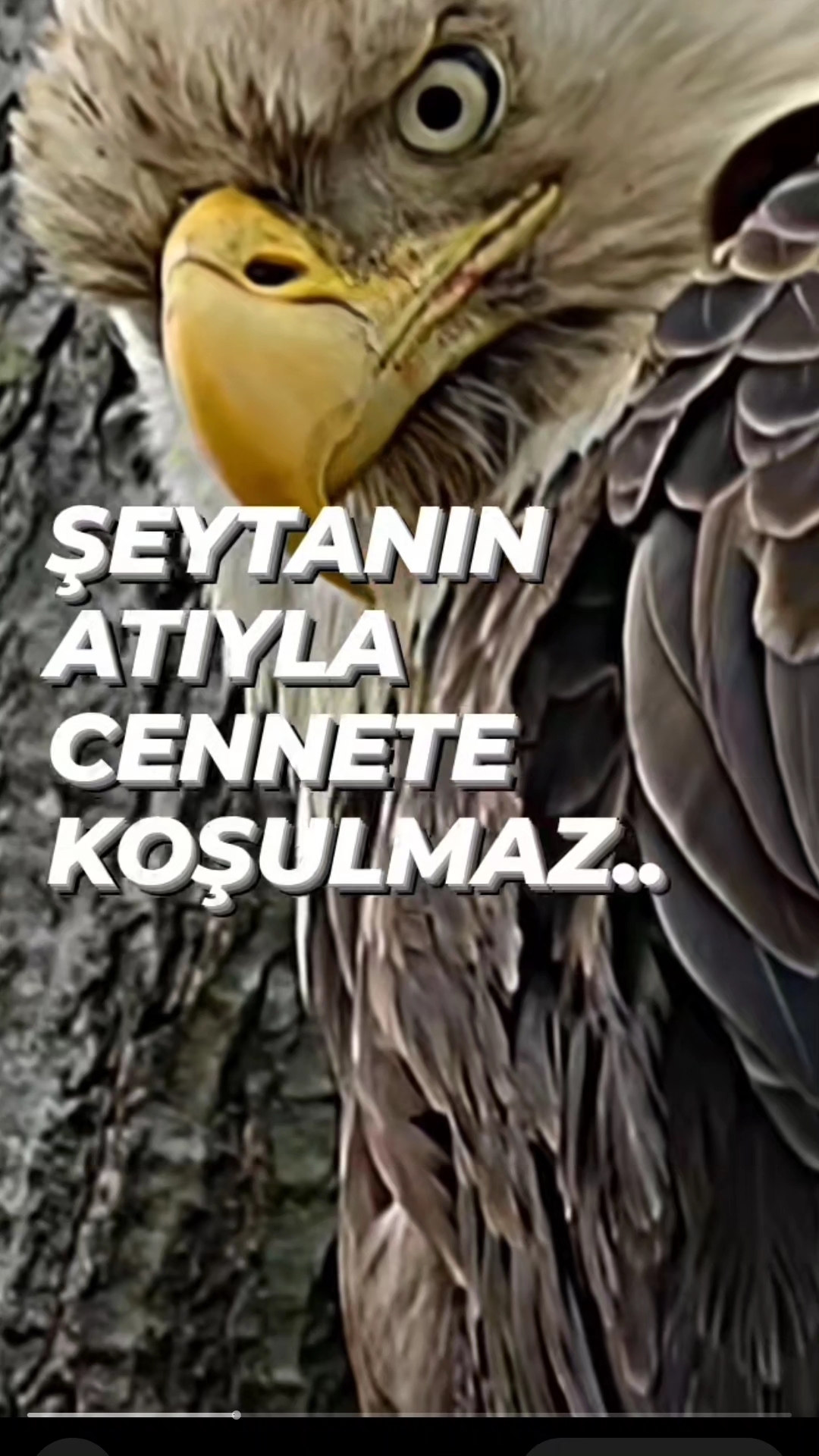 Kemal