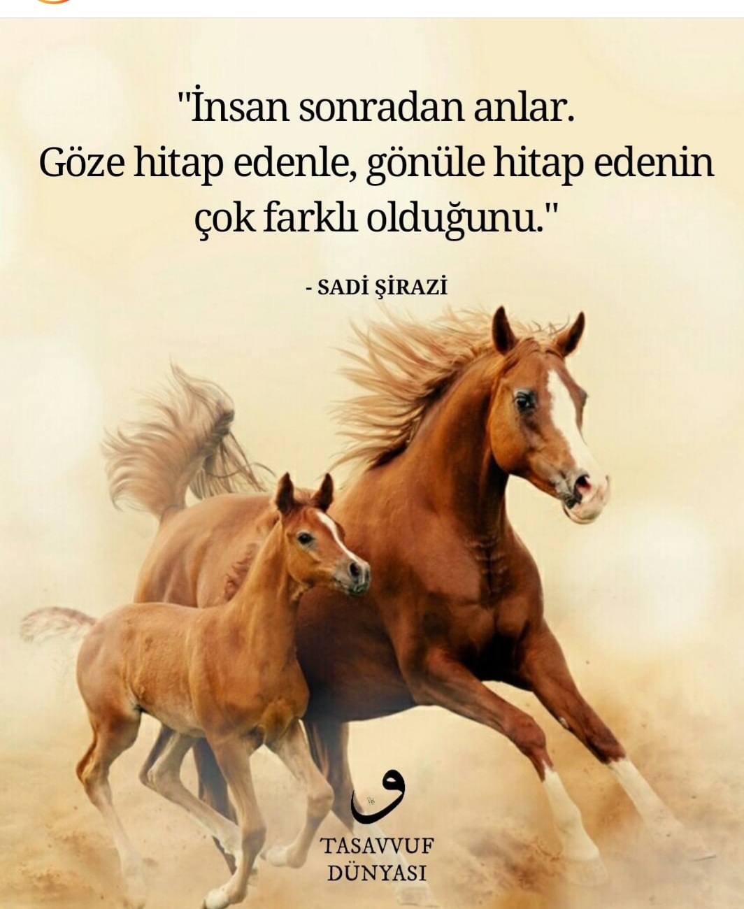 T C Yıldız