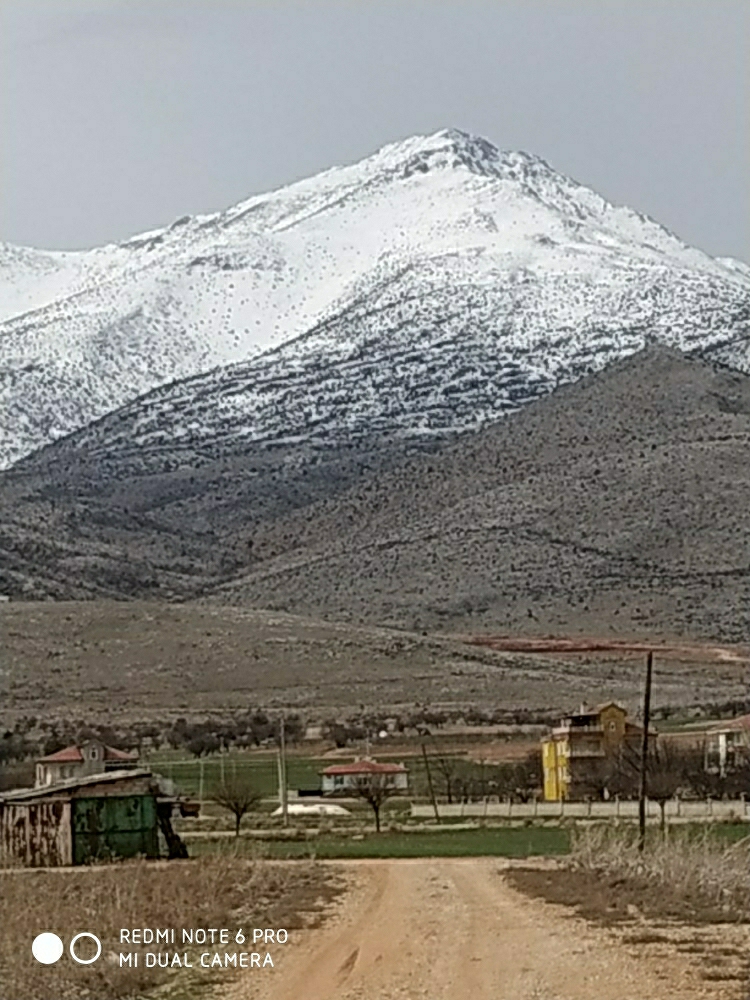 Mahmut