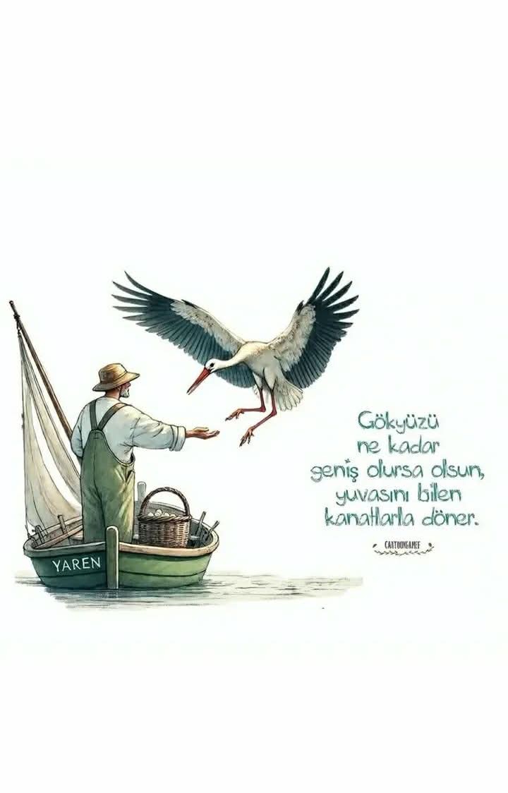 Gazel