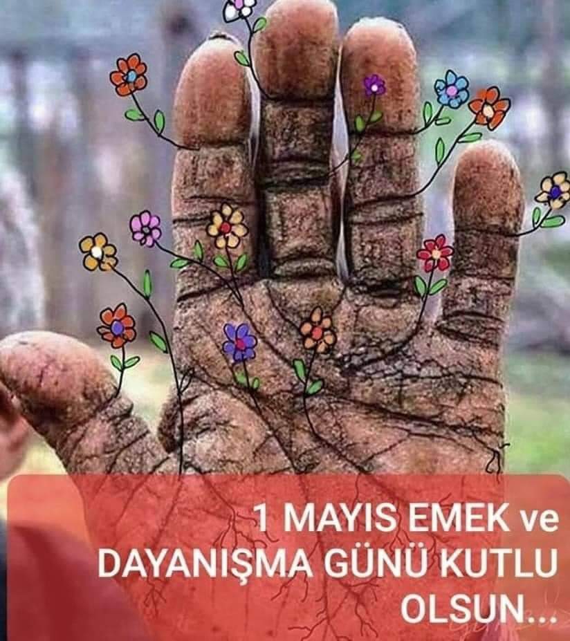 Şenay