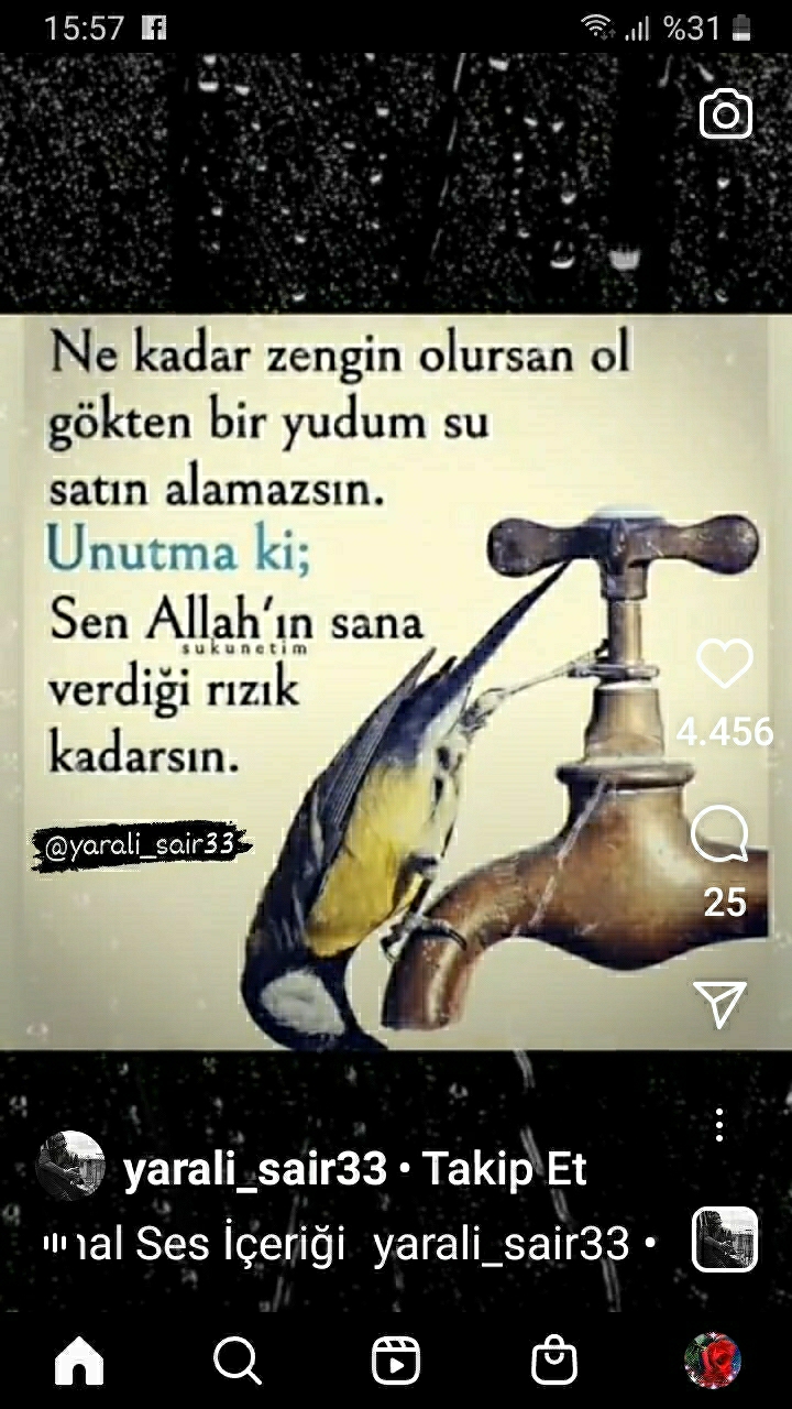 Gül