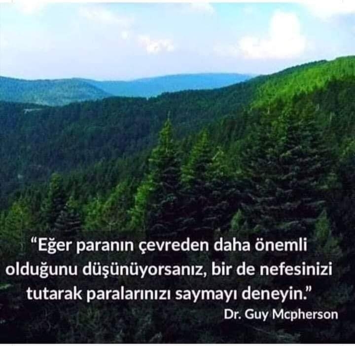 Şenol