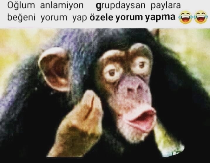 Serdar