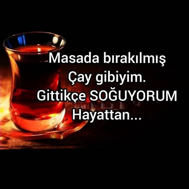 Melek