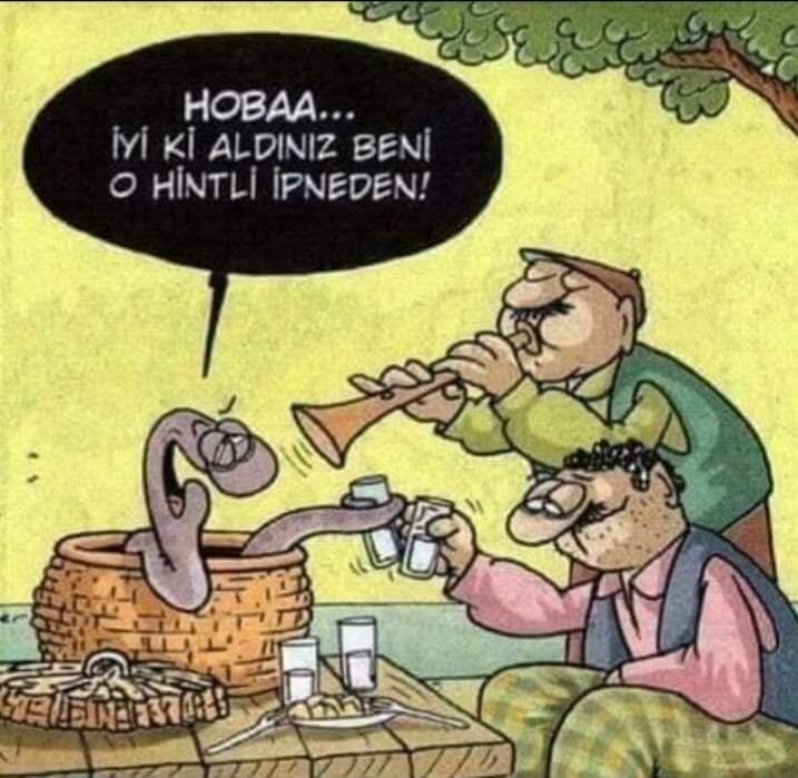 Şenol
