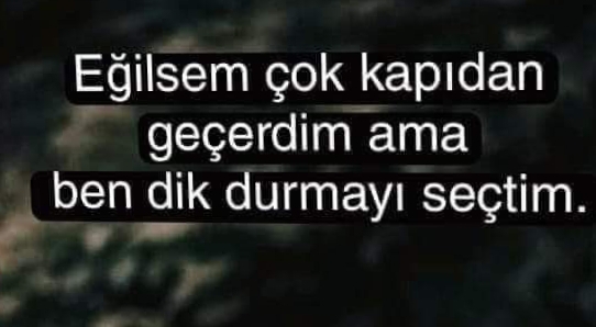 Yiğit