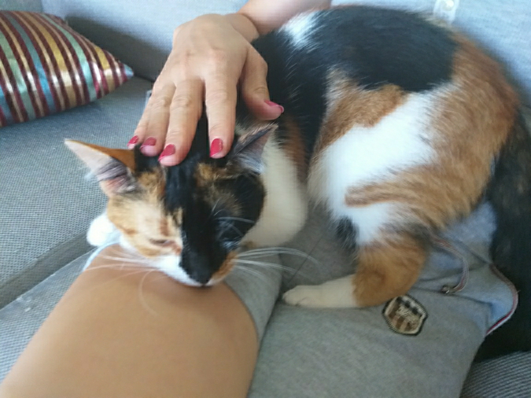 Nar