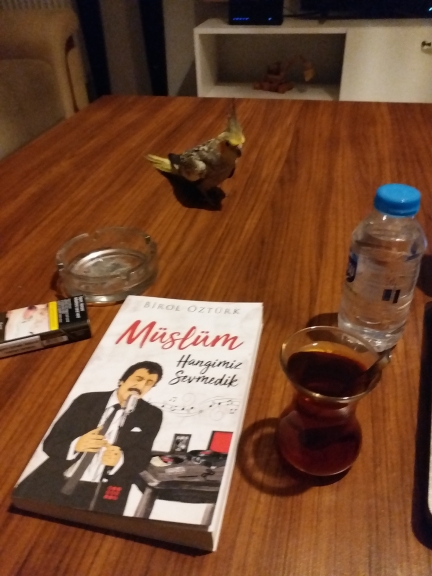 Mustafa