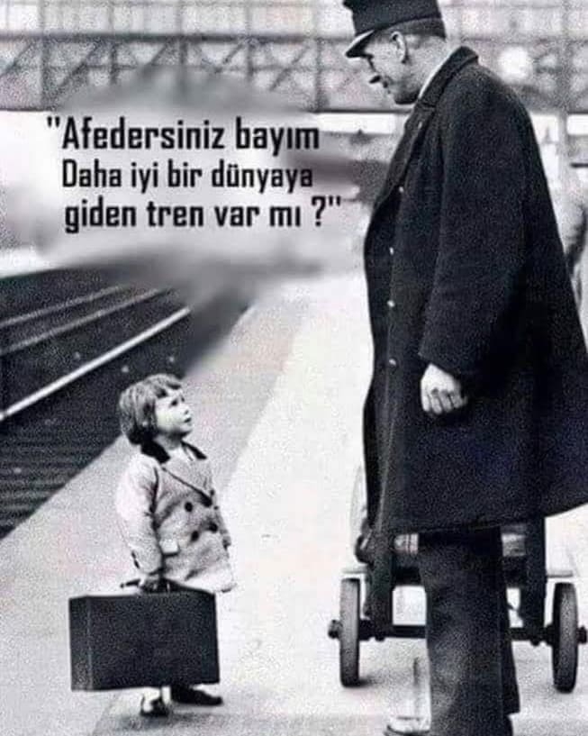 Doğann