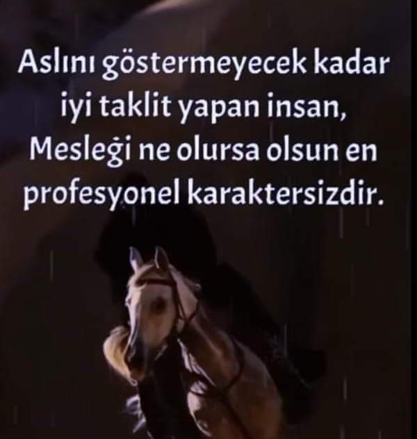 Melek