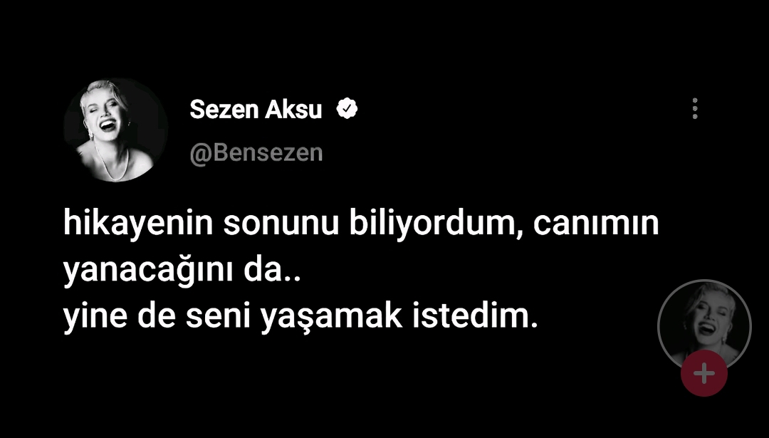 Şahinler