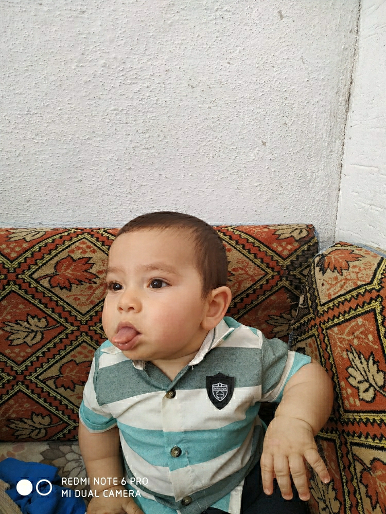 Mahmut