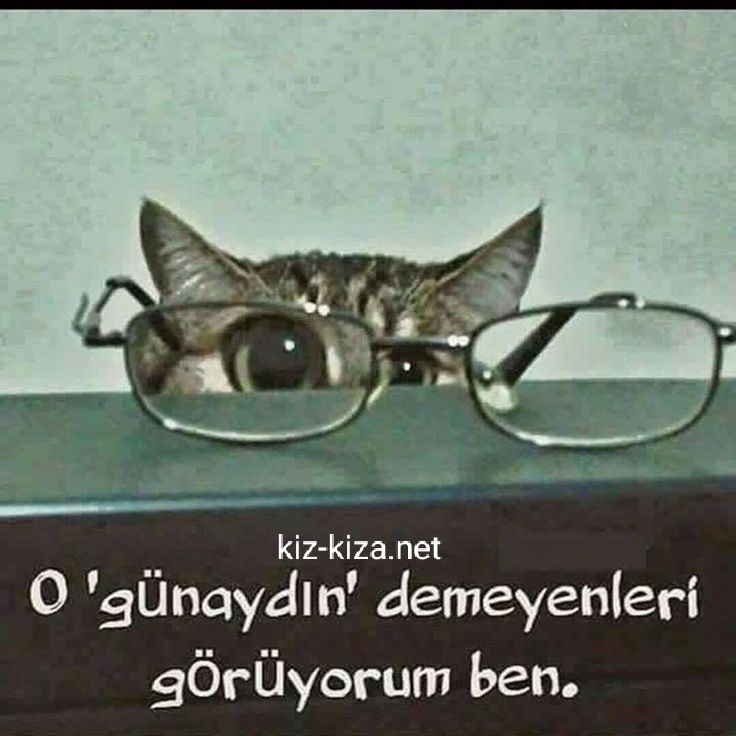 Ayşe