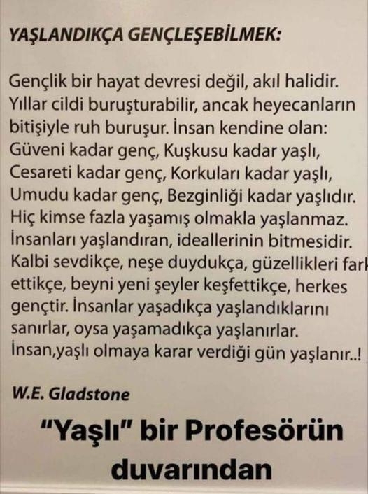Yavuz