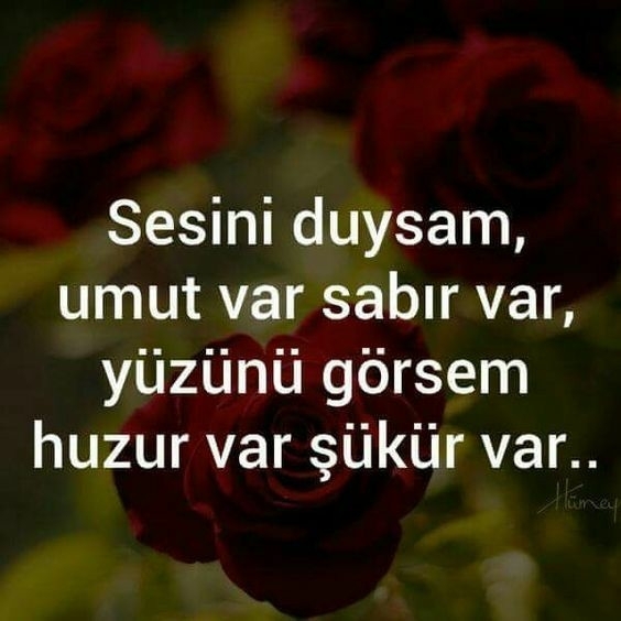 Mahmut