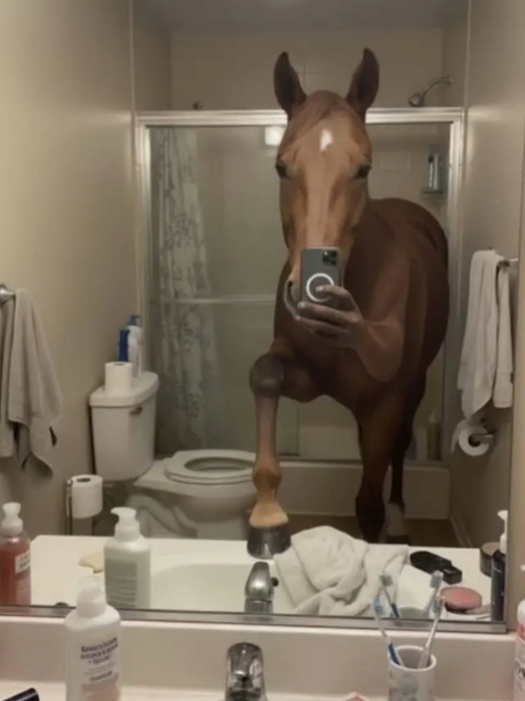Zeyno