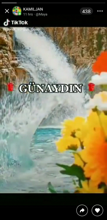 Melek