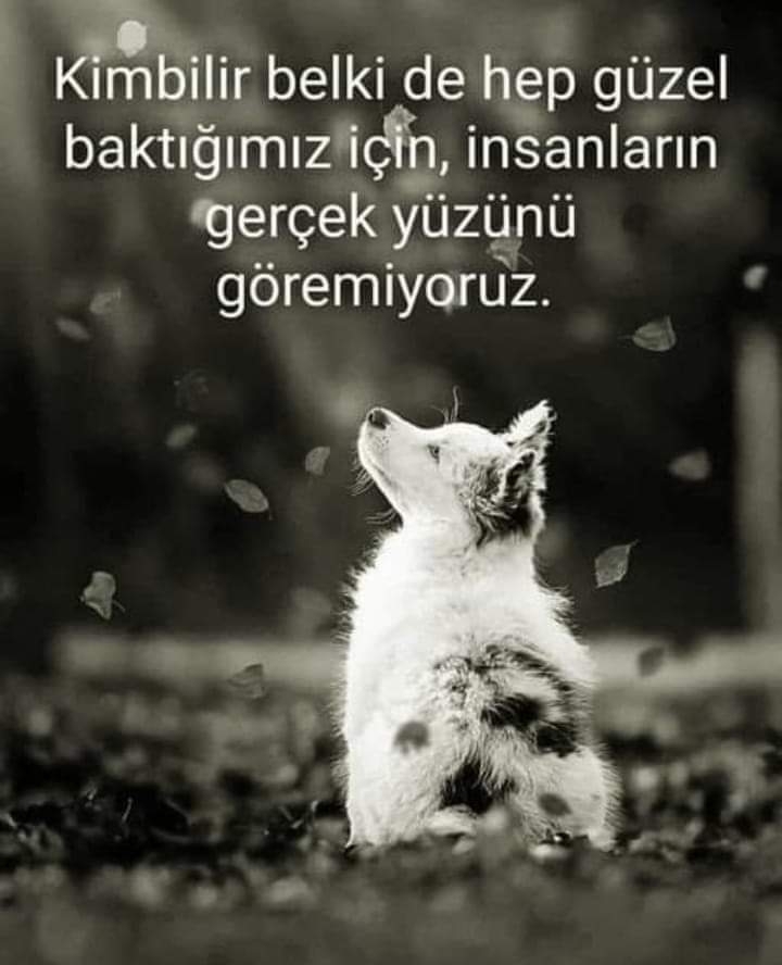 Özkan