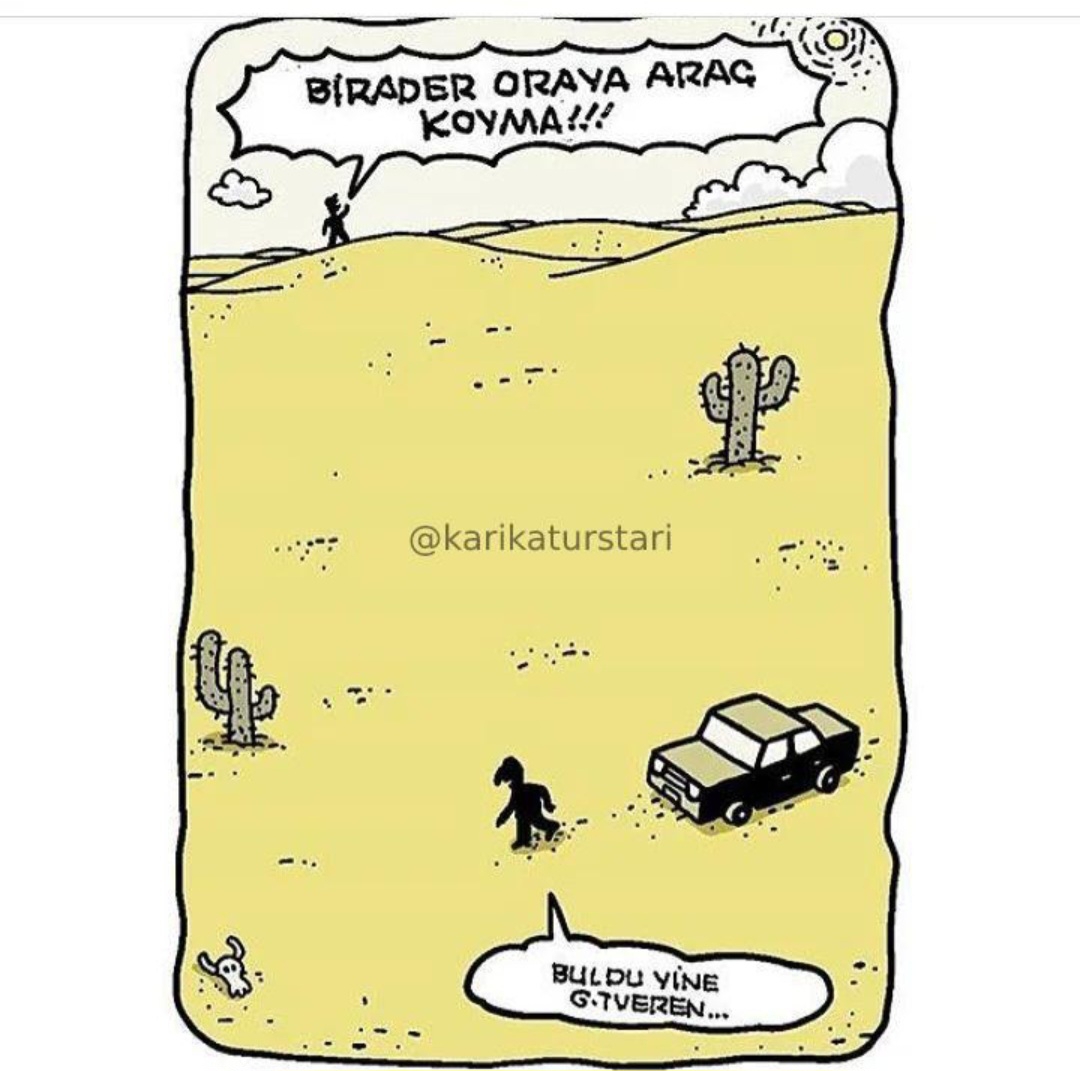 T C Yıldız