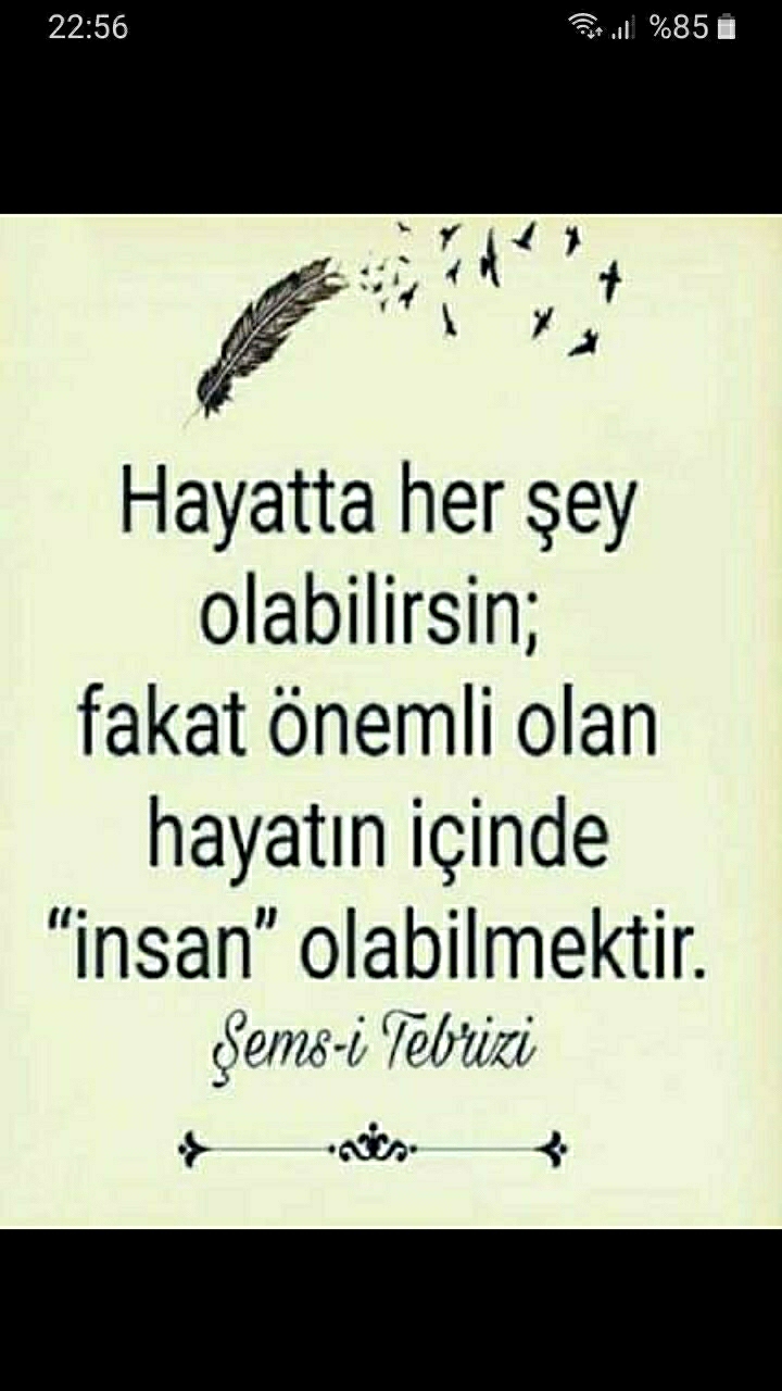 Gül