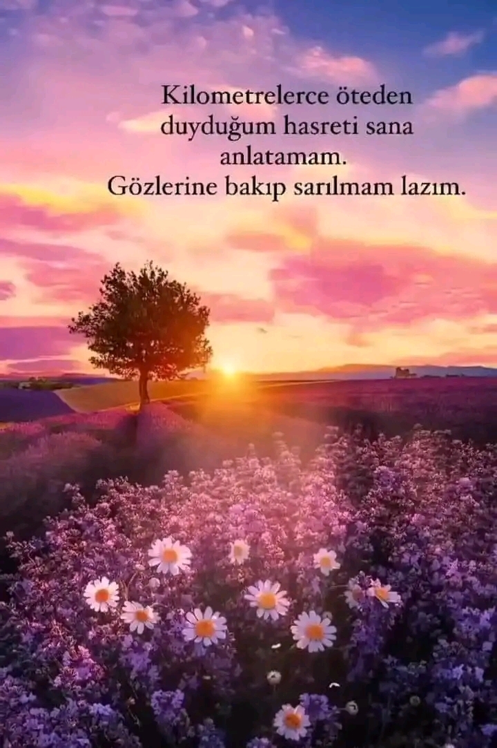 Sinan