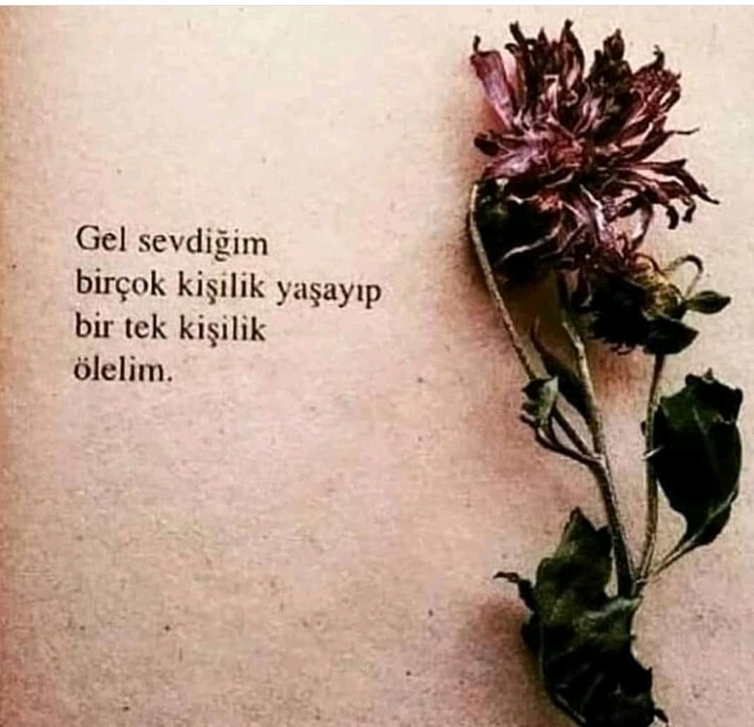 Sinan