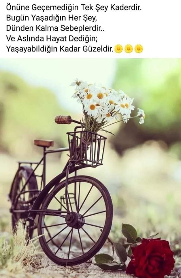 Uğur