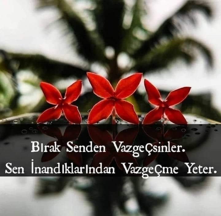 Ceyhan
