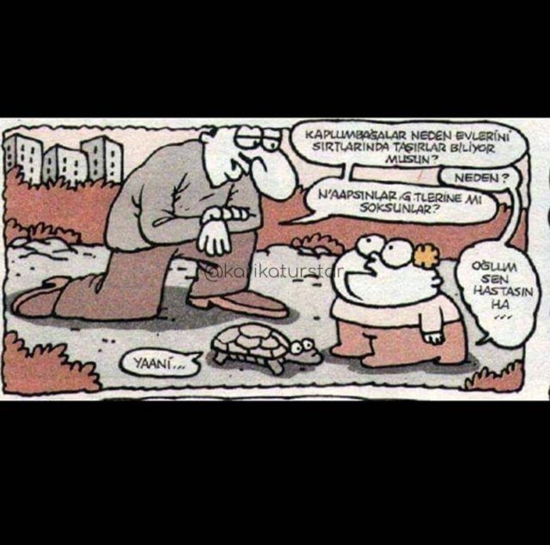 T C Yıldız