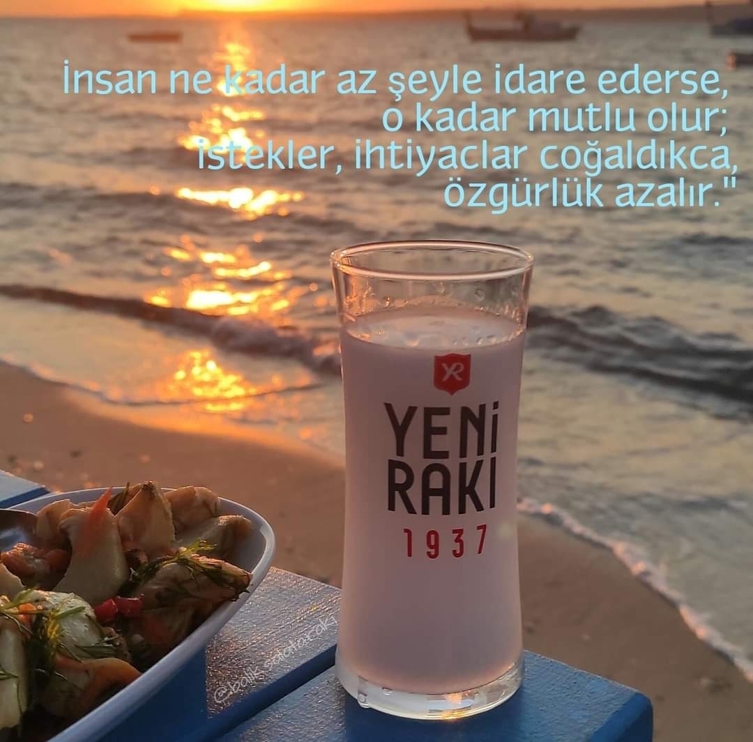 Ulvi