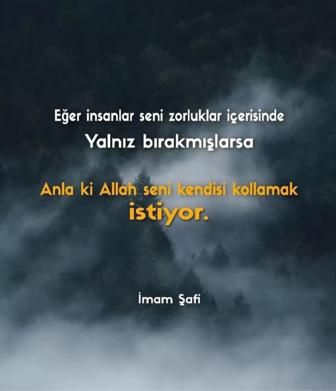 T C Yıldız