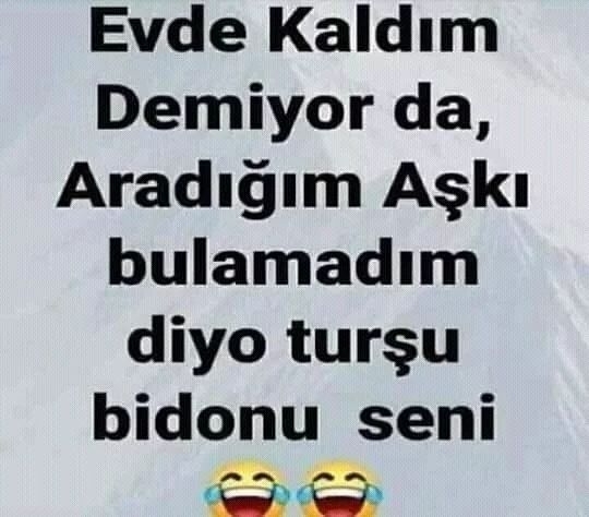 Serdar