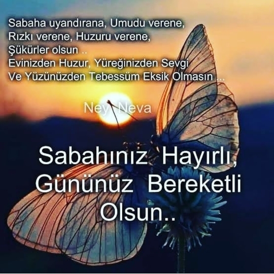 Bedriye