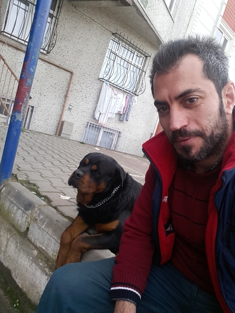 Serdar