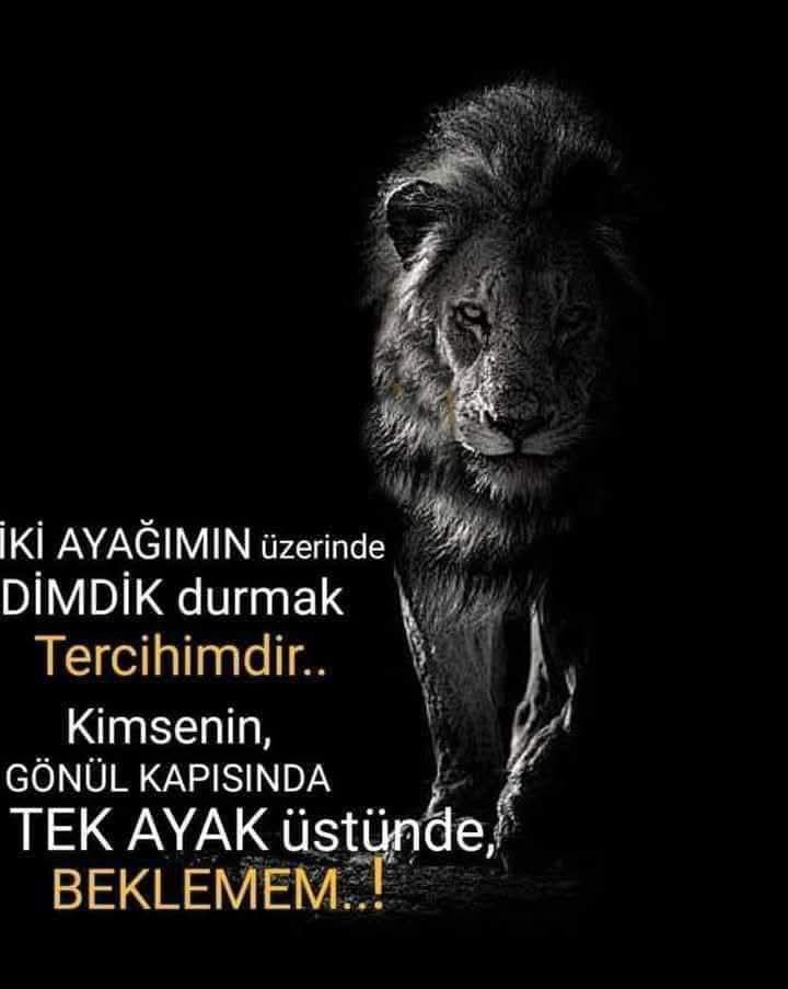 Melek