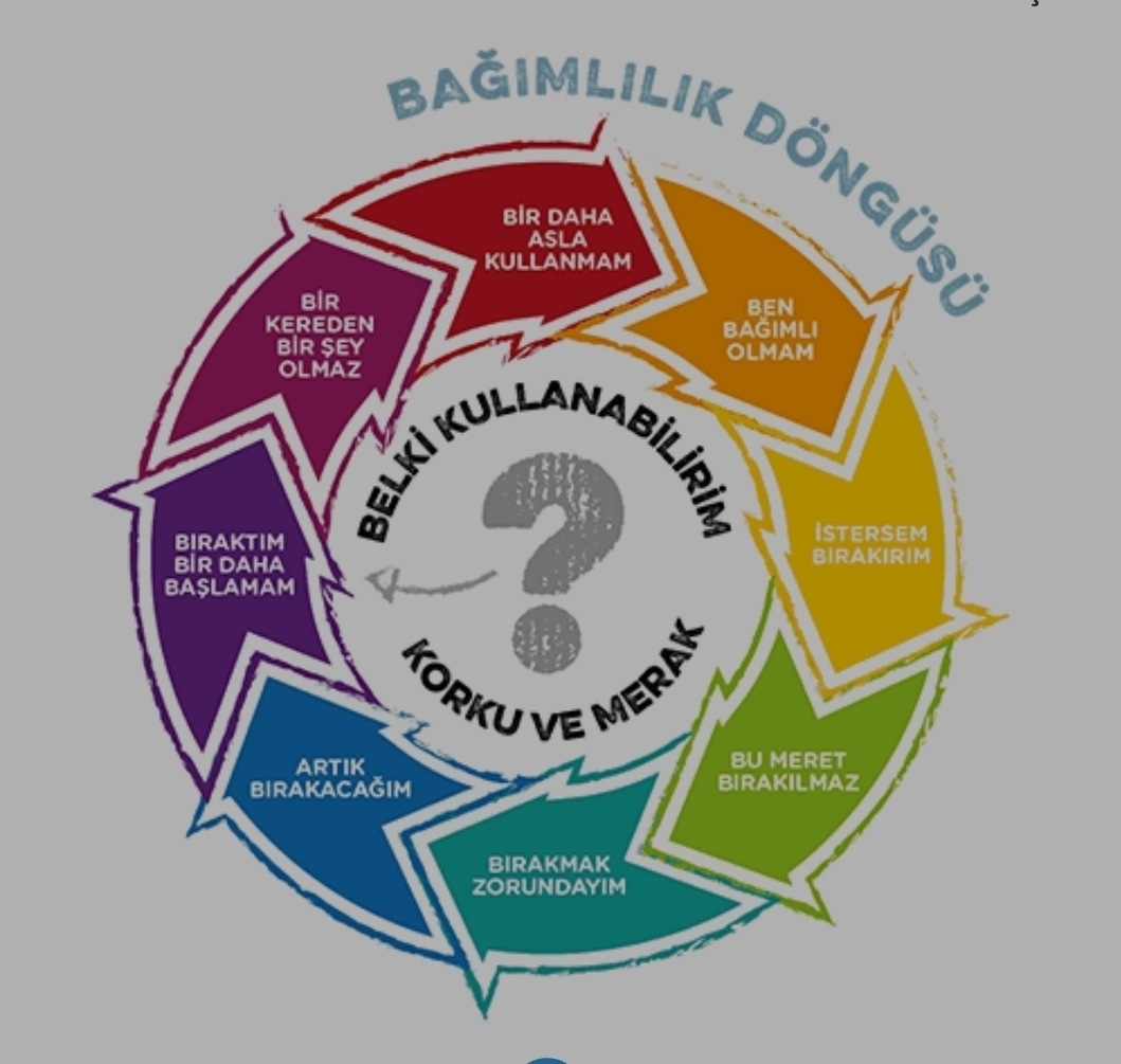 Selim