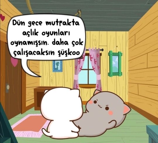 Erol
